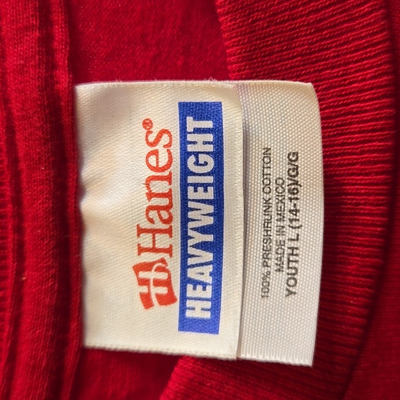 Hanes Cool Stuff to See in Arizona Youth Graphic Short Sleeve Tee - Picture 8 of 8